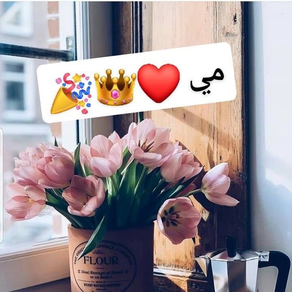 Meet your Posher, Maha - Picture 1 of 1